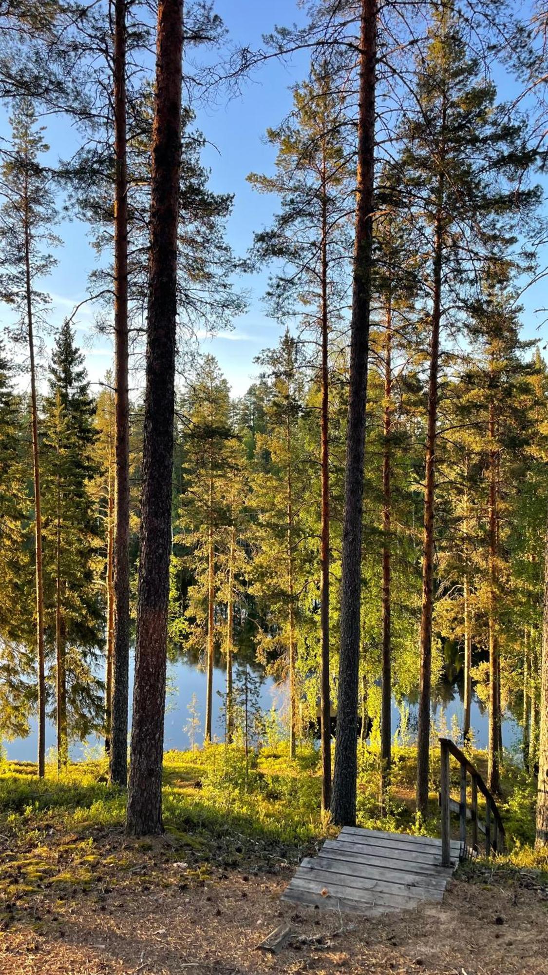 Ahvenlampi Camping 萨里耶尔维 外观 照片
