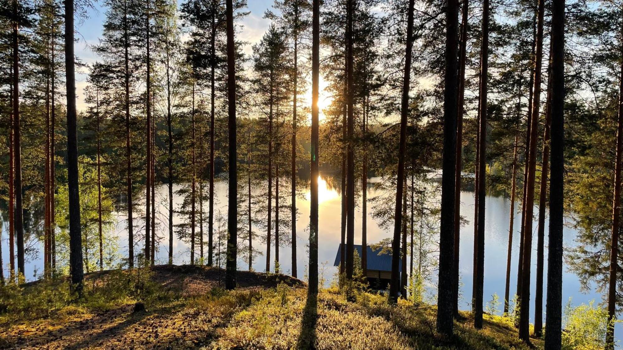 Ahvenlampi Camping 萨里耶尔维 外观 照片